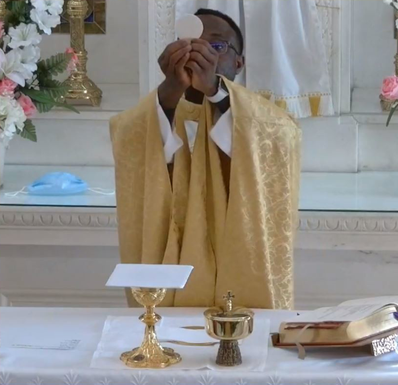 Father Blessing Host